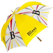 Branded Automatic Umbrellas for Travel Merchandise