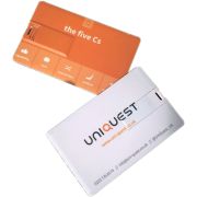 4GB Express USB Flashdrive Credit Cards Printed with a Full Colour Design from Total Merchandise