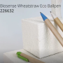 Biosense Wheatstraw Eco Ballpen