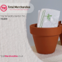 Tiny Terracotta Garden Trio