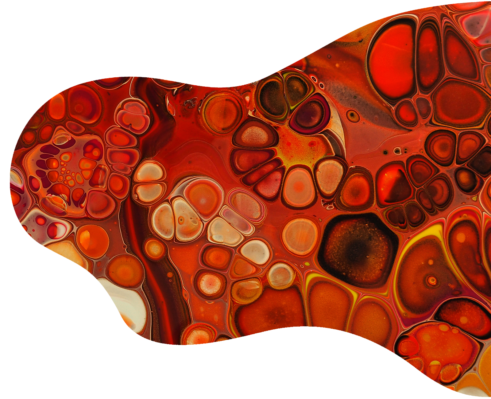 Fluid Art Be A Distributor