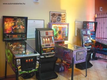 flipper köcslönzés 383