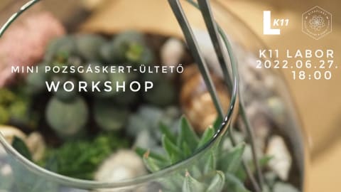 Mini pozsgáskert-ültető workshop