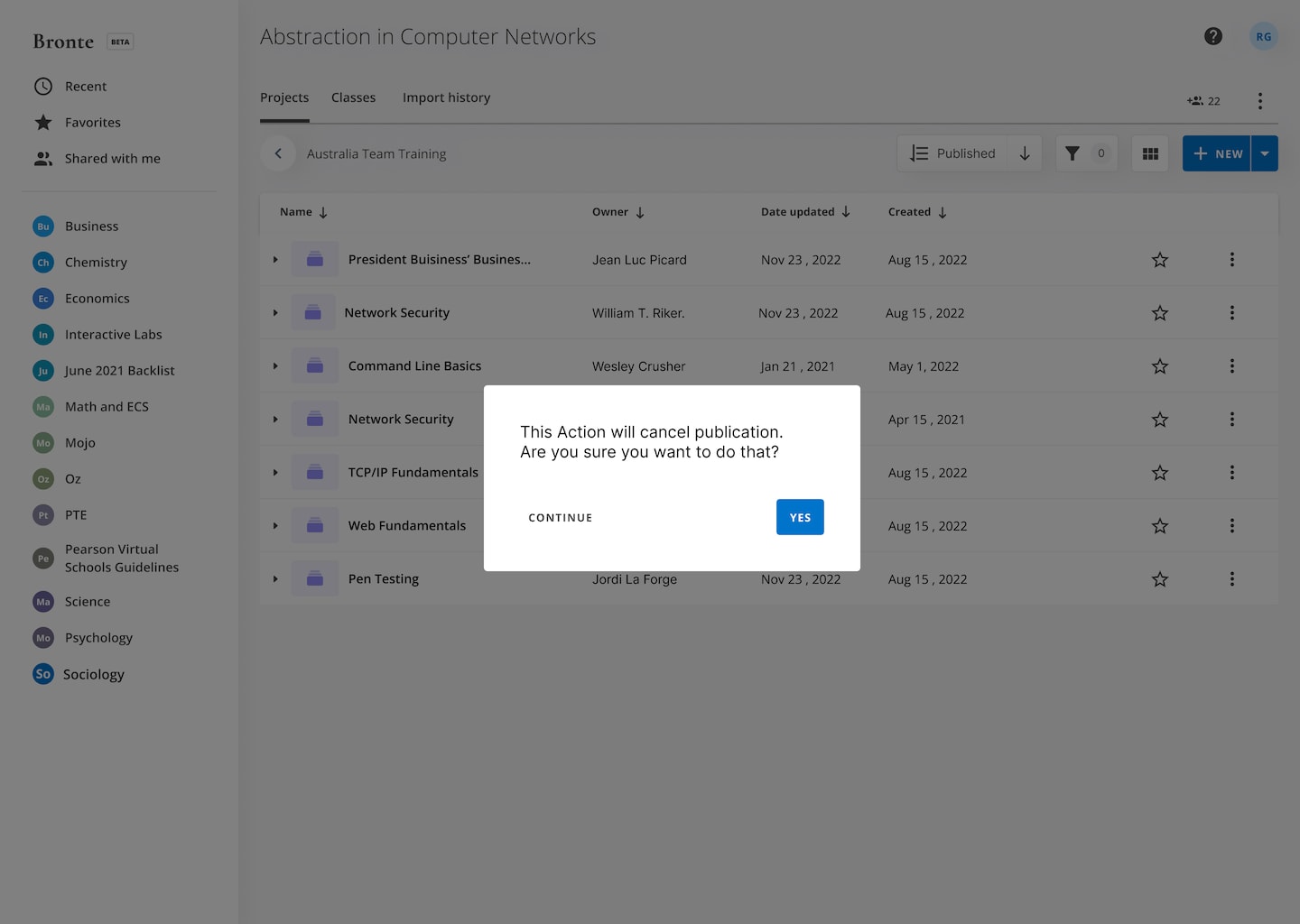 an image of an artifact in the  portfolio item