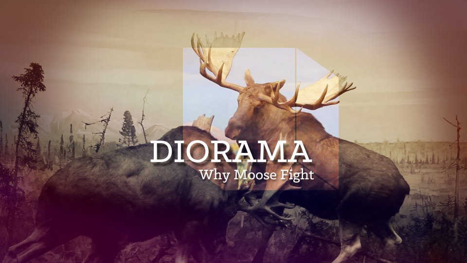 An image of the main title card for Diorama