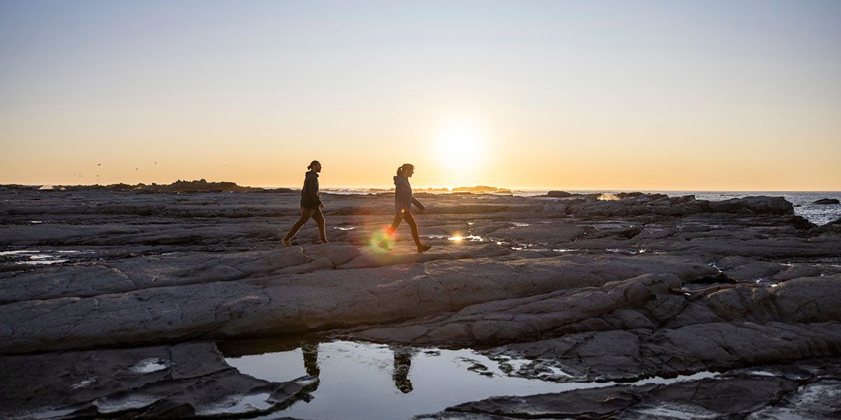 Ultimate South Island Adventure