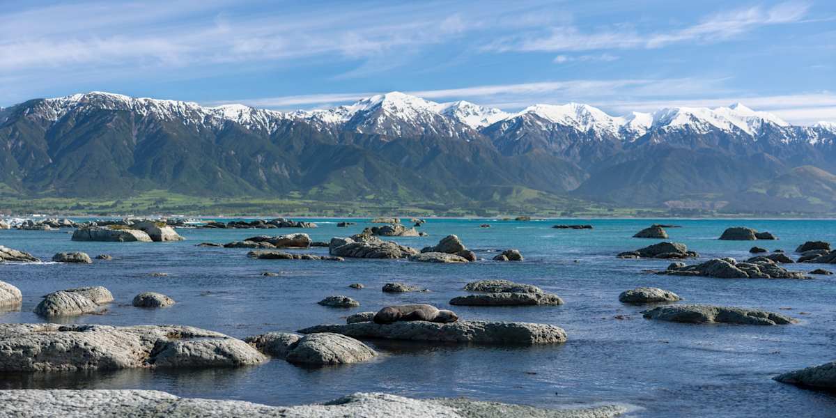 Arrive, visit Gore Bay and explore Kaikoura