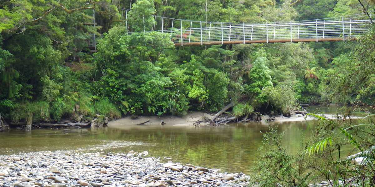 Hike Punakaiki Rainforest, explore Hokitika