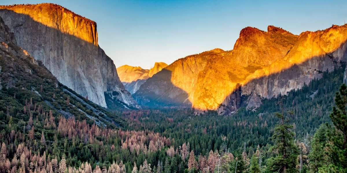 Pick up in Fresno, Mirror Lake & El Capitan Meadow