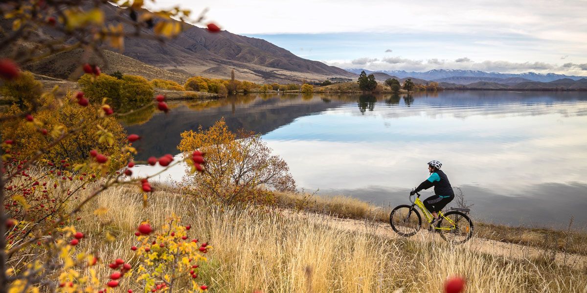 New Zealand Biking Adventure