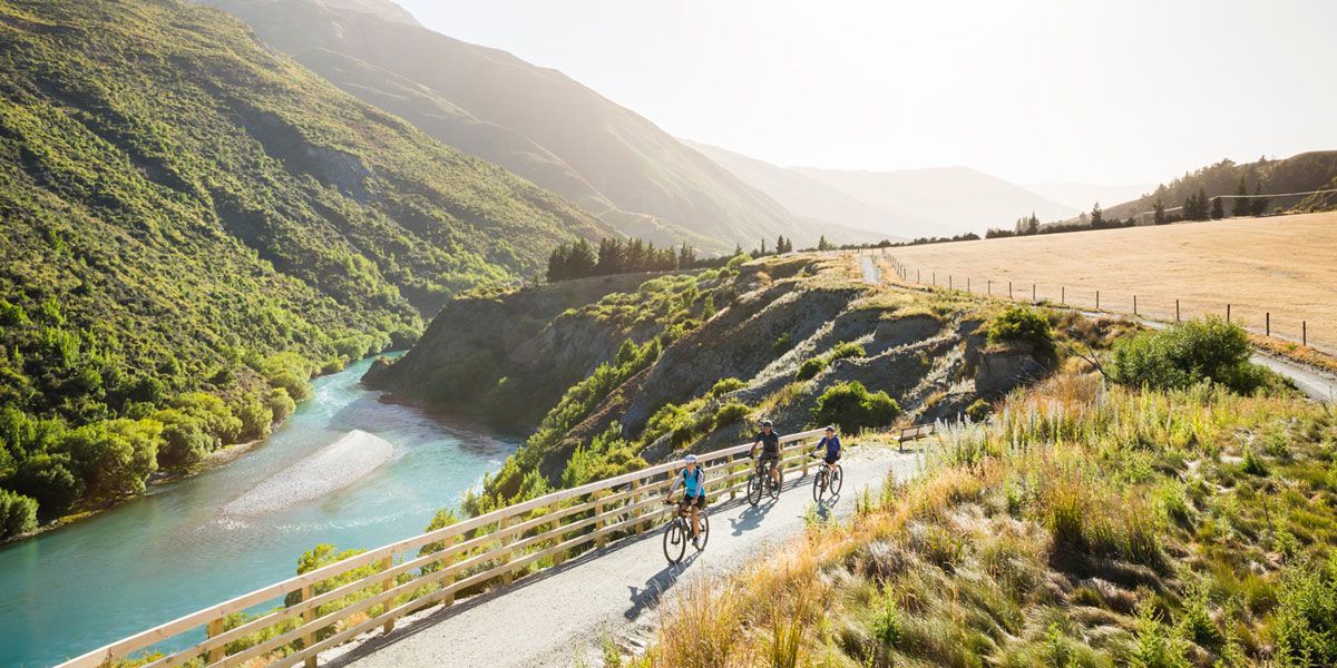 New Zealand Biking Adventure