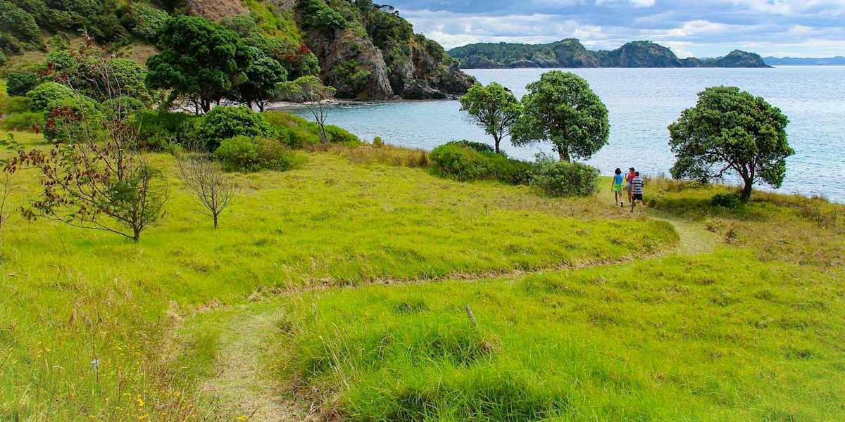 Ultimate North Island Adventure