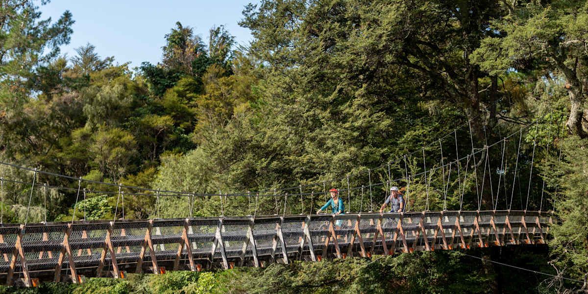 North Island Volcanic Adventure