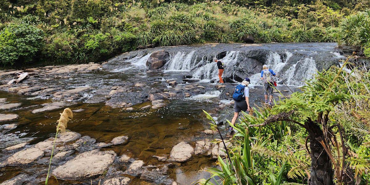 North Island Volcanic Adventure