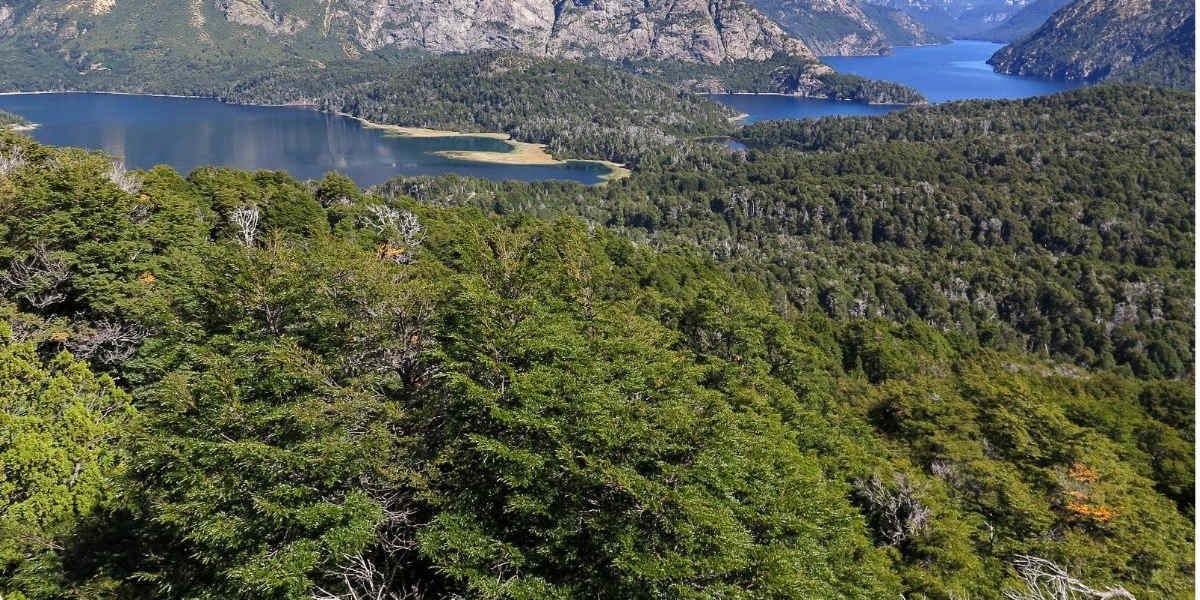 Hike Cerro Llao Llao and Playa Tacul