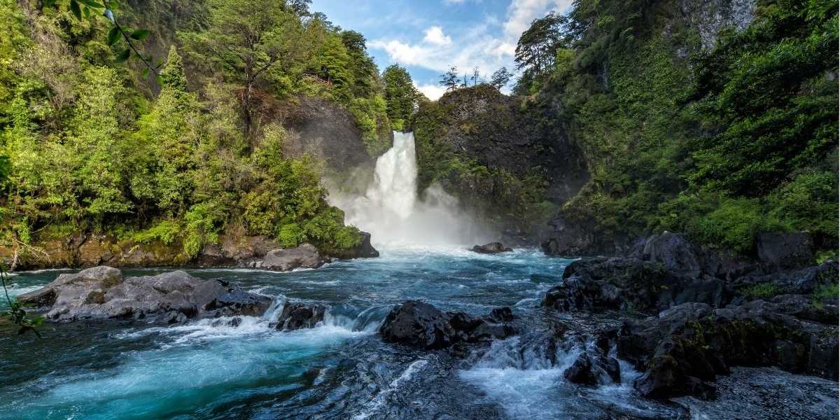 Huilo Huilo Biological Reserve & Botanical visit