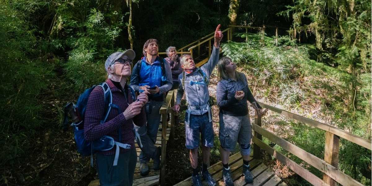 Hornopirén National Park & boat trip to Llancahué Island