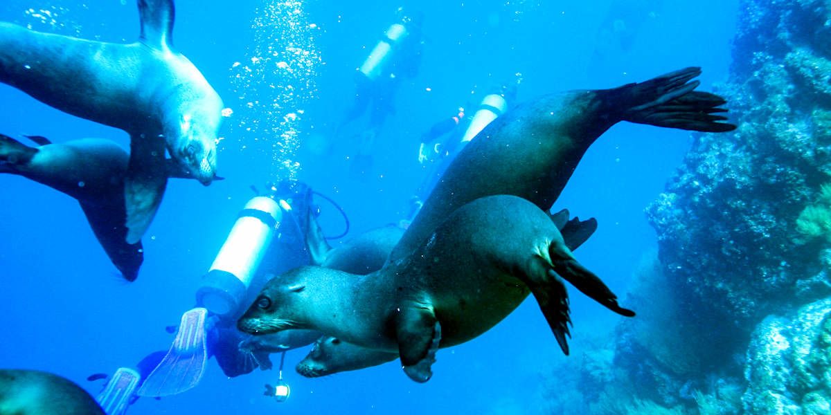 Snorkel or dive at Kicker Rock, visit Interpretation Centre