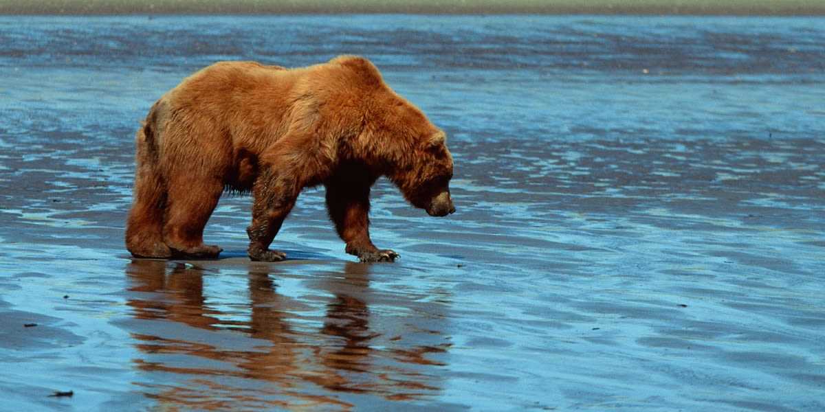 Kenai Fjords Family Vacation