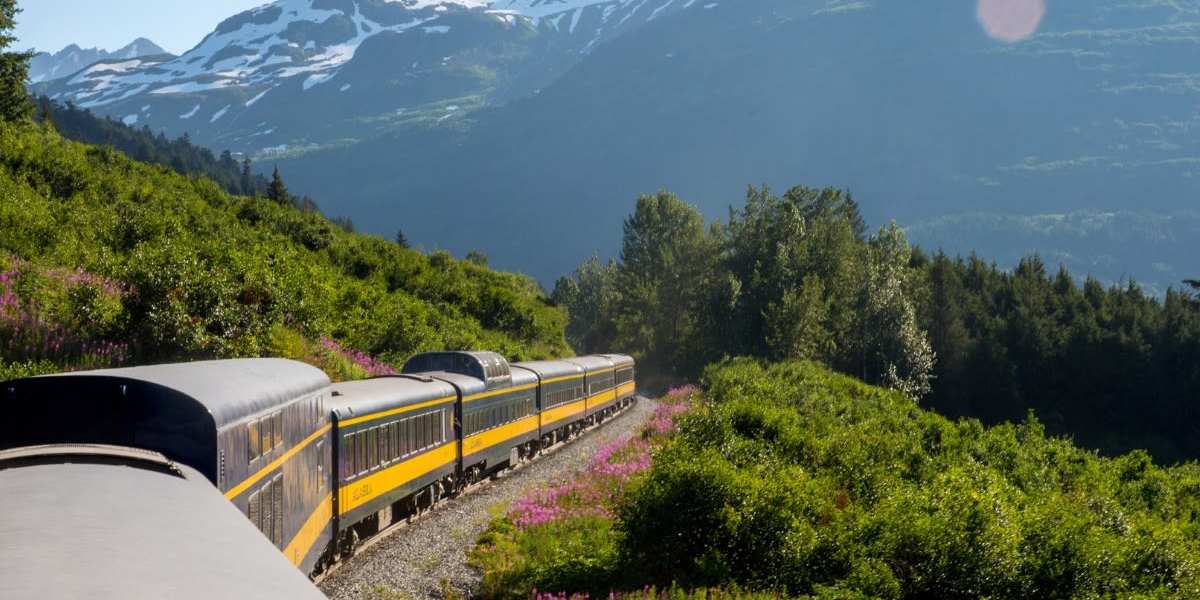 Kenai Fjords Family Vacation