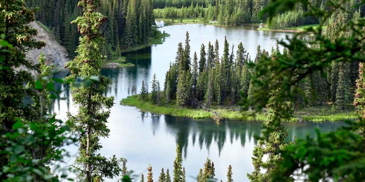 Exploring Denali State Park, say your goodbyes!