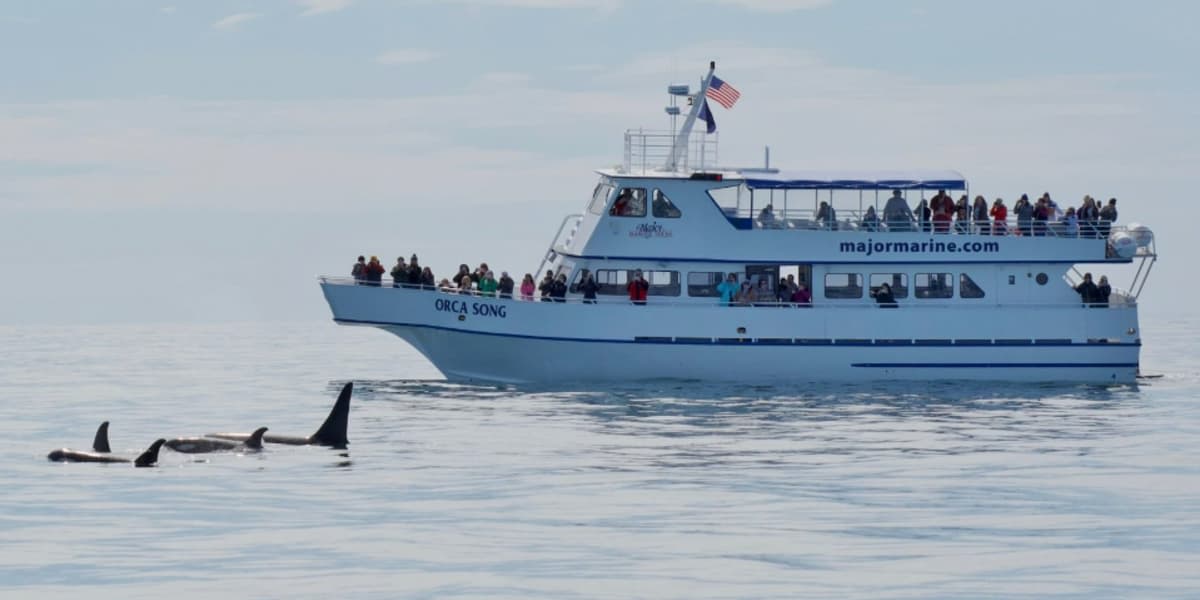 Meet group in Anchorage, Kenai Fjords Wilderness Cruise