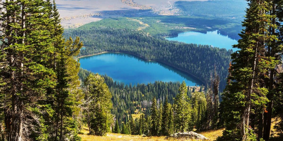 Yellowstone & Grand Teton Family Vacation