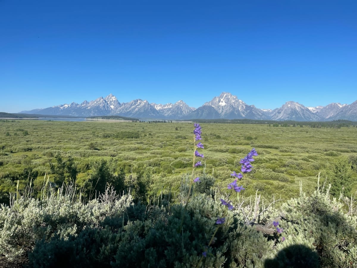 Yellowstone, Glacier & Grand Teton Adventure Reverse