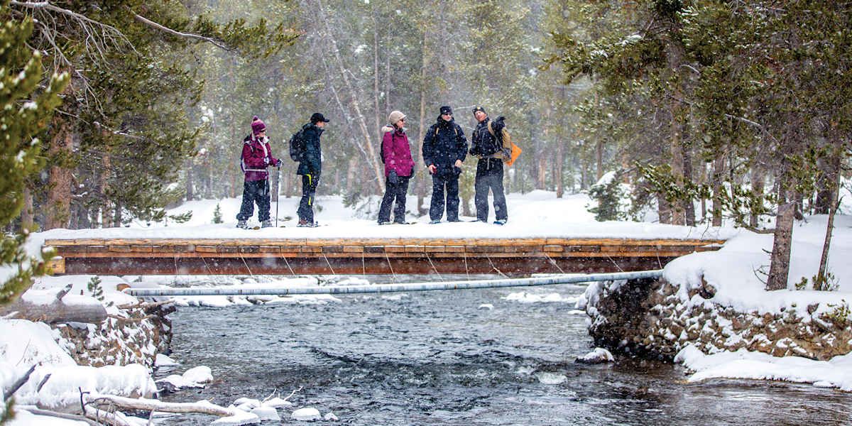 Experience a Lamar Valley winter wildlife drive