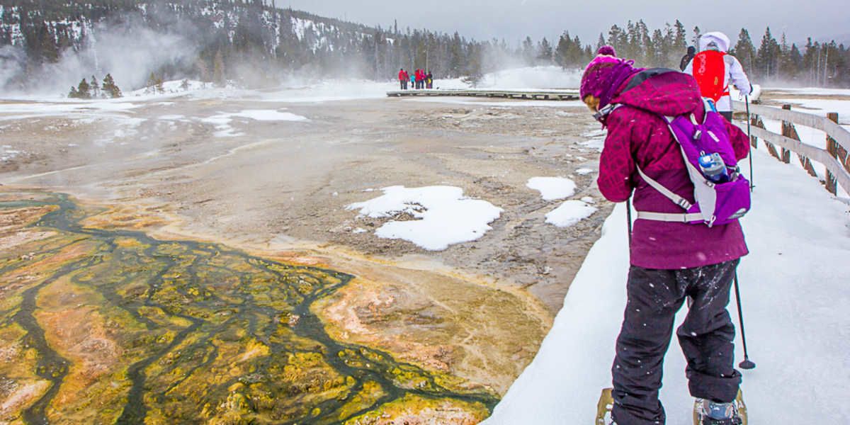 Explore the Old Faithful Region