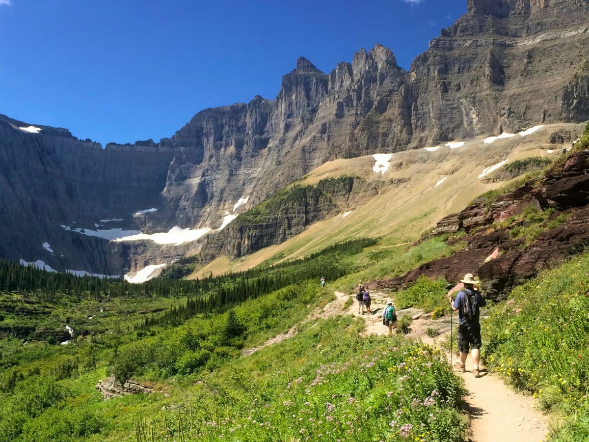 Full Day Hike to Iceberg Lake