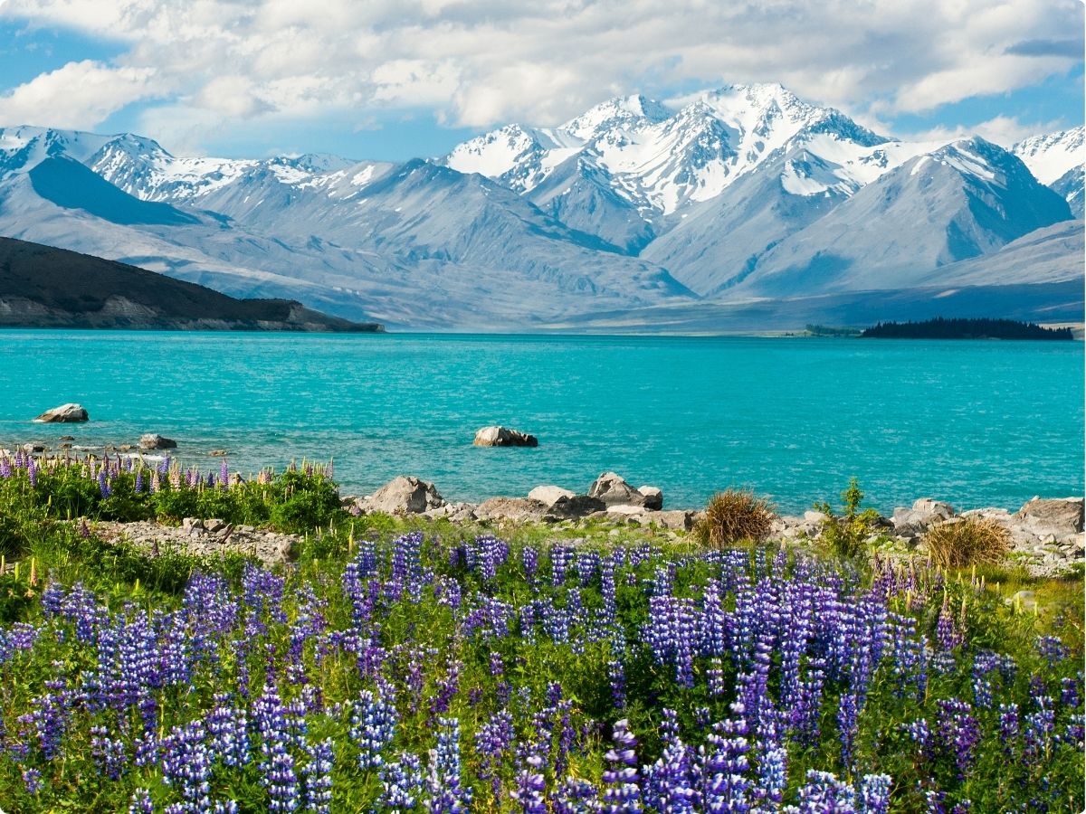Ultimate South Island Adventure Reverse