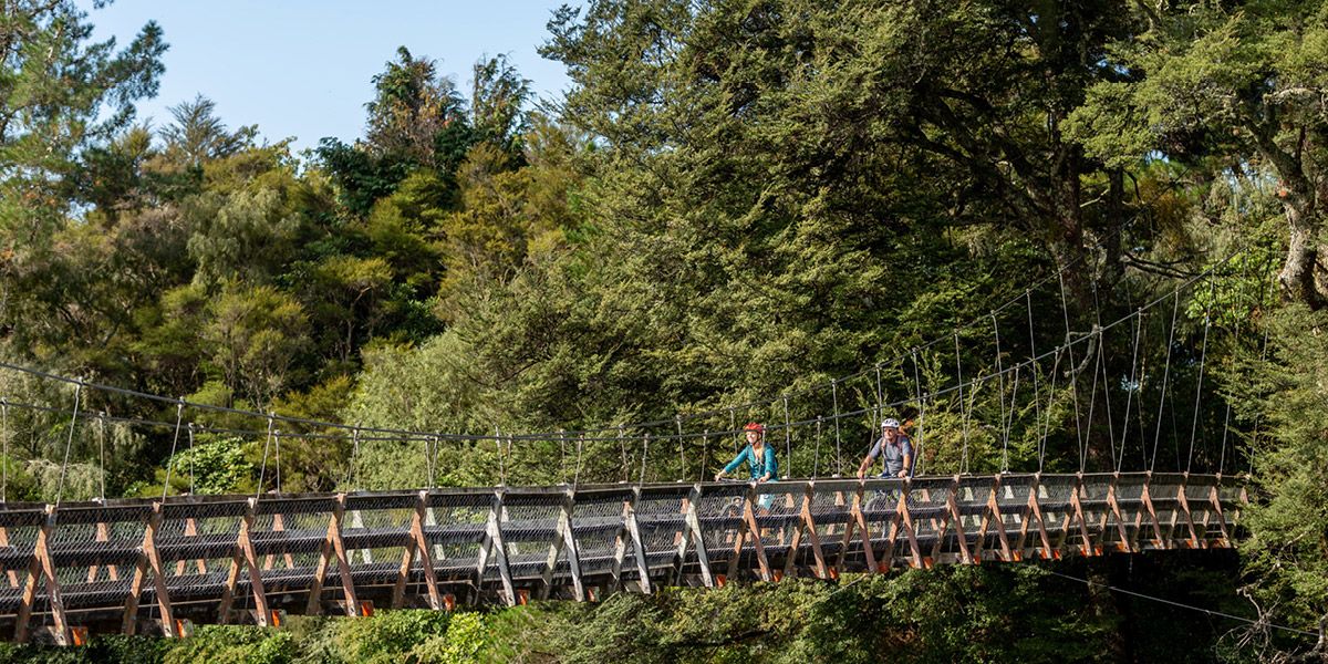 Ultimate North Island Adventure