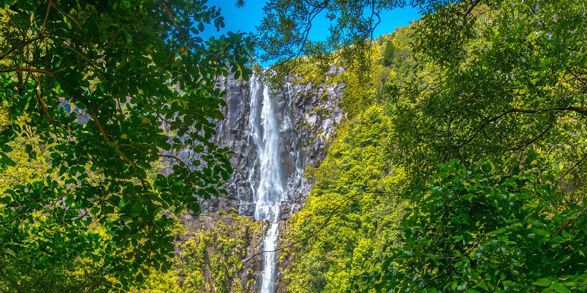 Ultimate North Island Adventure