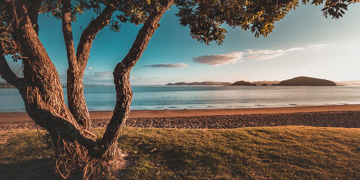 Ultimate North Island Adventure
