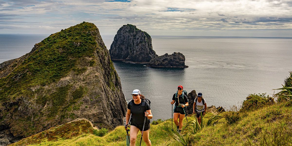 Ultimate North Island Adventure
