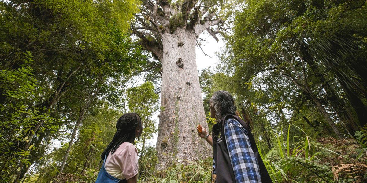 Ultimate North Island Adventure