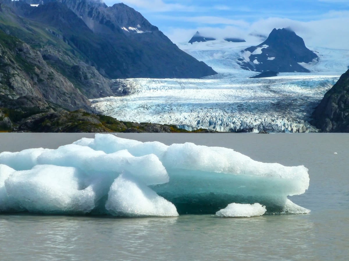 Kenai Fjords Adventure