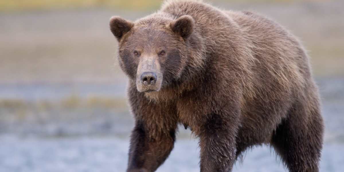 Morning hike to Bishop's Beach, say our goodbyes