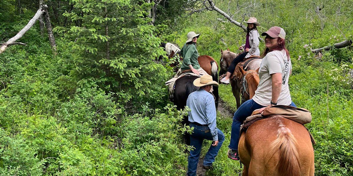 Horseback Ride in the Absaroka Moountains, Hike to a Waterfall and soak in Natural Hot Springs