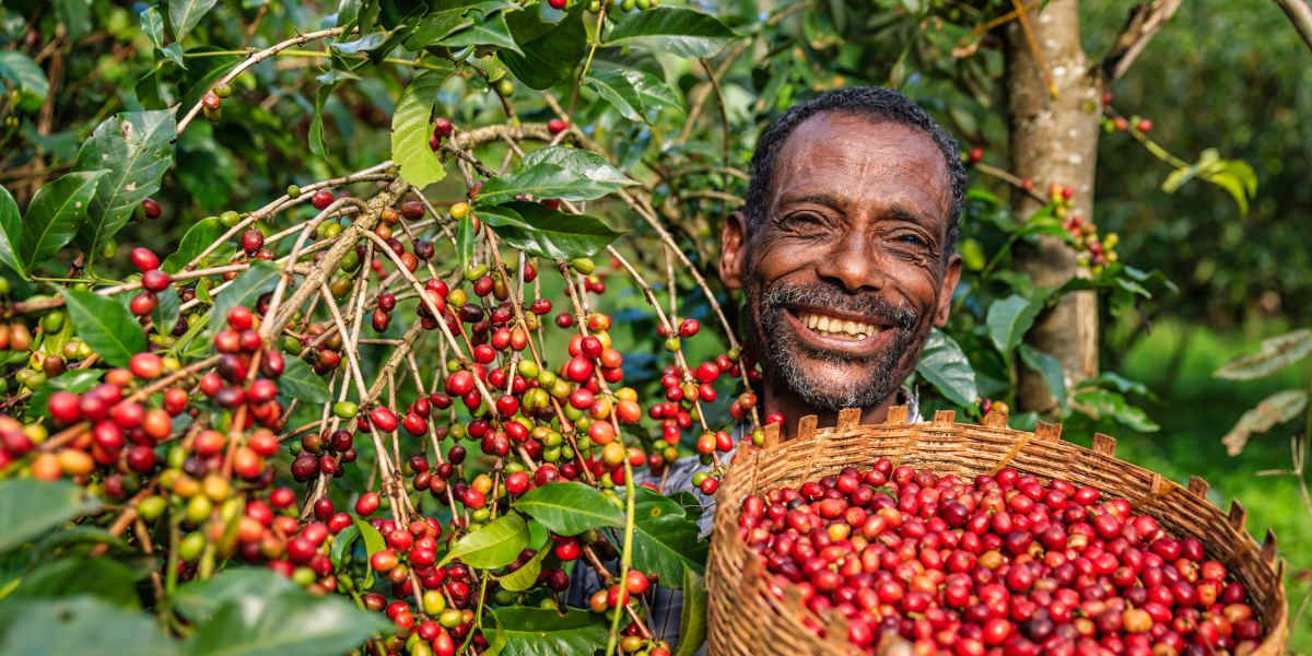 Serengeti & Ngorongoro Crater Safari