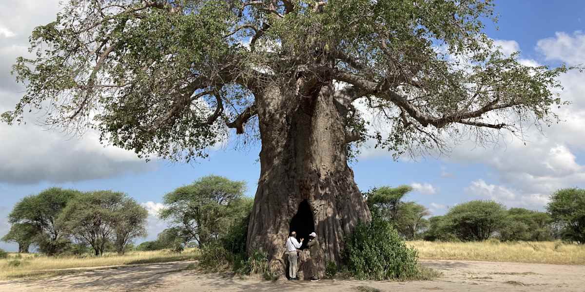 Serengeti & Ngorongoro Crater Safari