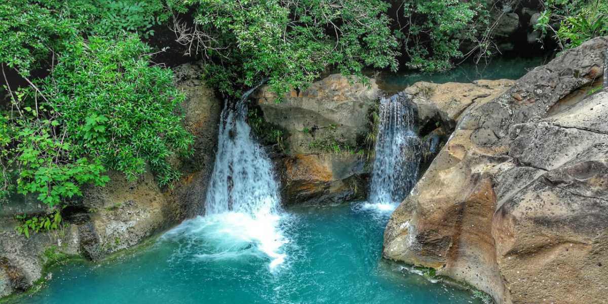 Las Chorreras Waterfall and Nosara Beach