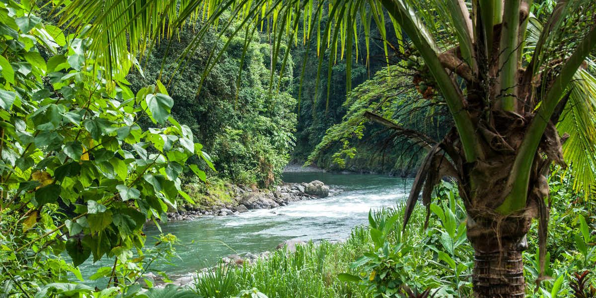 Overnight rafting experience on Pacuare River