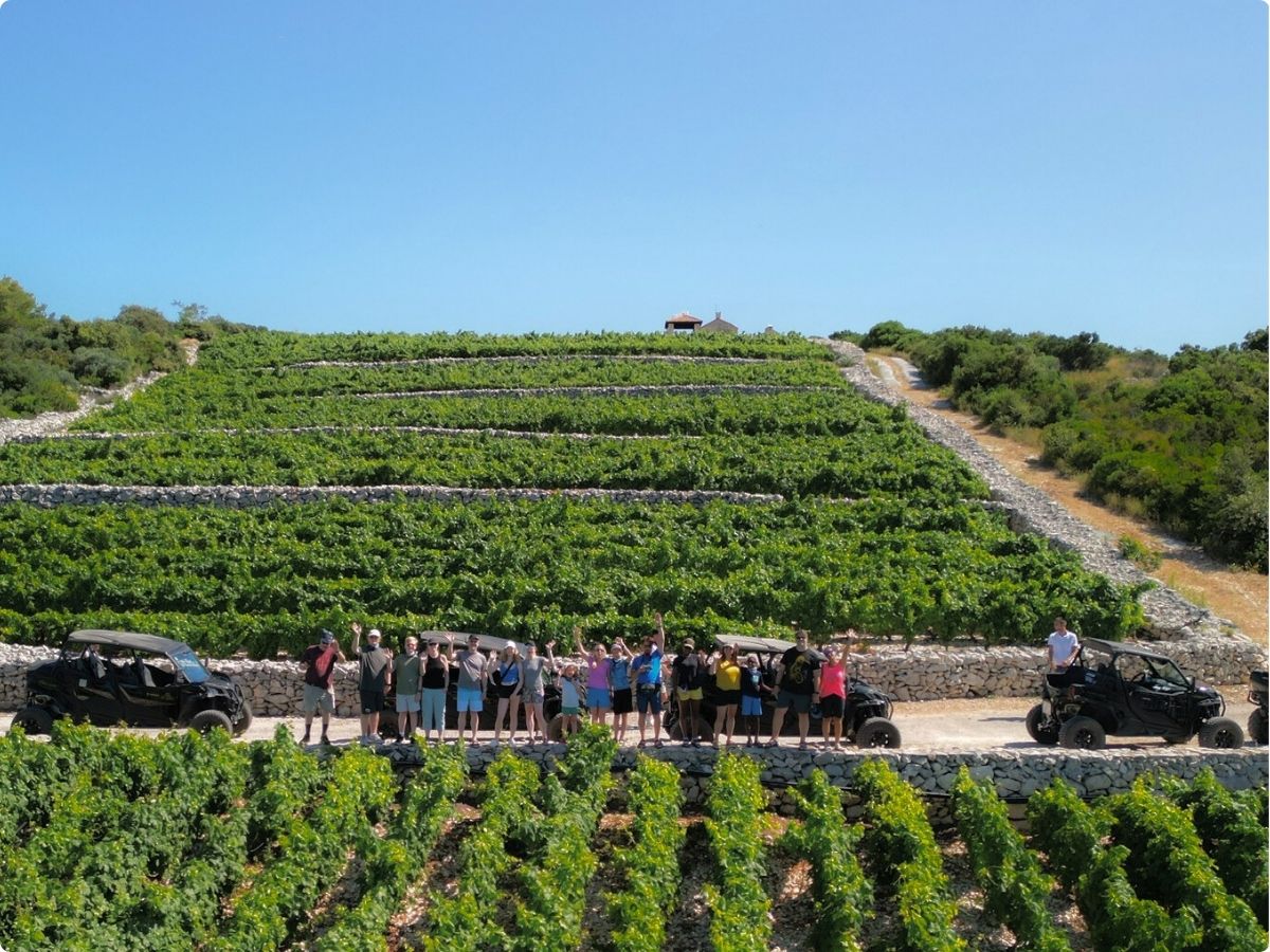 Buggy safari on Lumbarda beach, snorkel and wine tasting