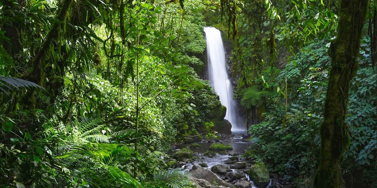 Arrive, Hike through La Paz Waterfall Gardens, Organic Farm Tour