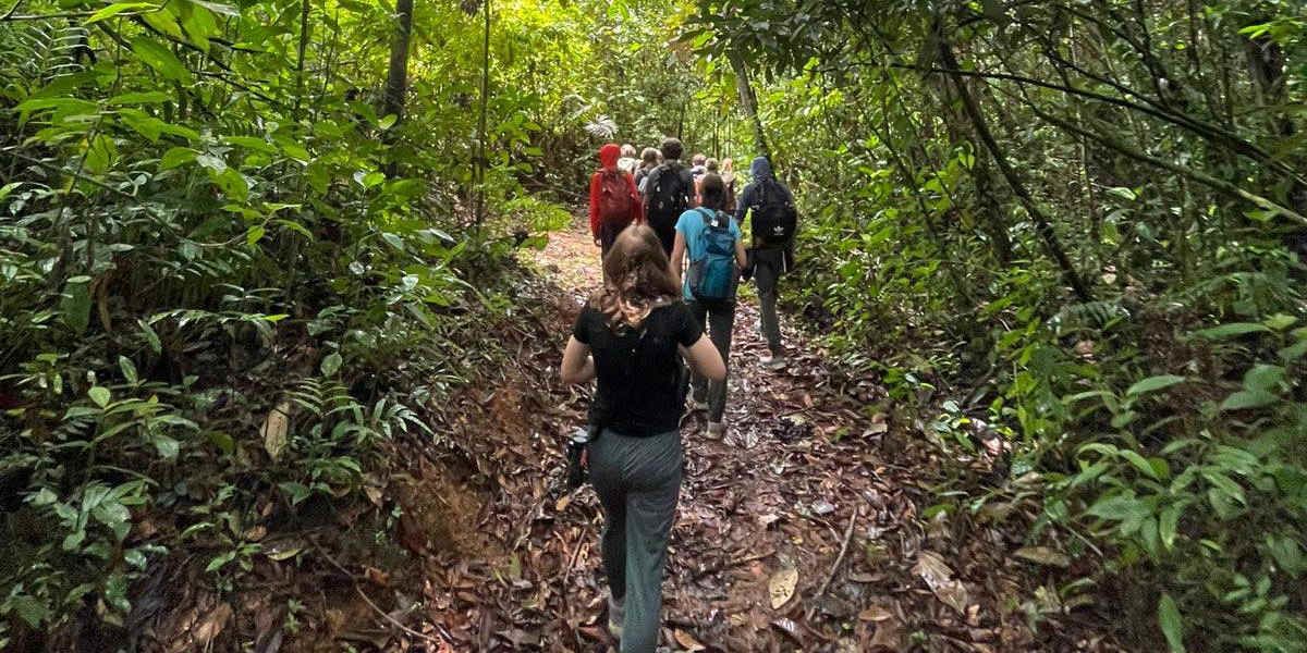 Hike the El Encanto, Zip Lining & Outrigger Canoe Adventures