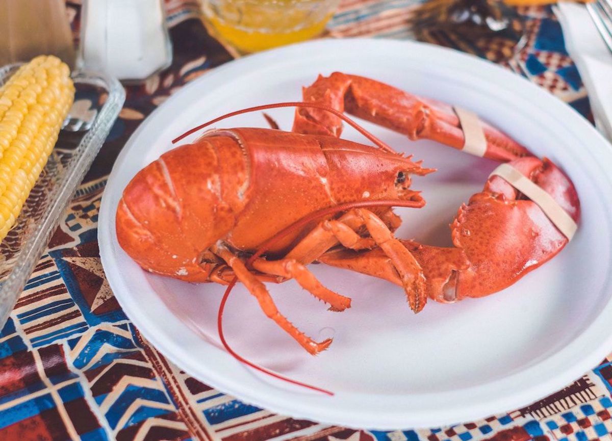 Cabot Trail Nova Scotia Bike Tour Lobster meals