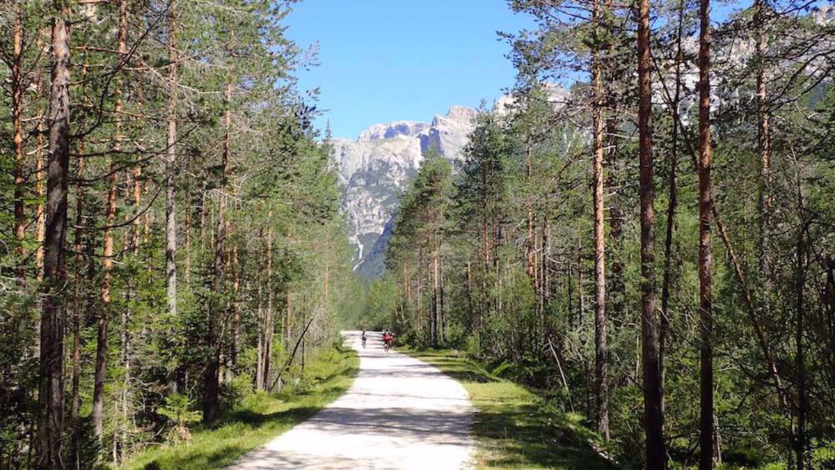 Dolomites to Venice Bike Tour Passo di Cimbanche, Italy Dolomites