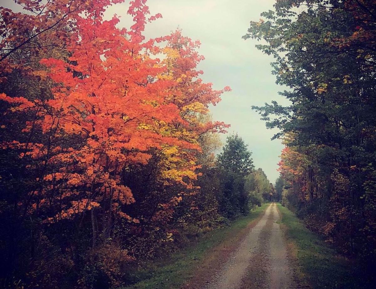 Lamoille Valley Rail Trail Bike Tour Fall Foliage